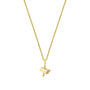 CXTV Kolye - Gold